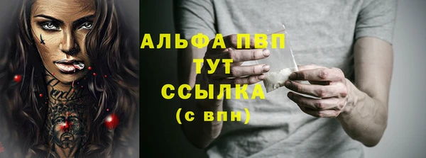 PSILOCYBIN Баксан