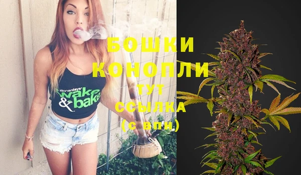 PSILOCYBIN Баксан
