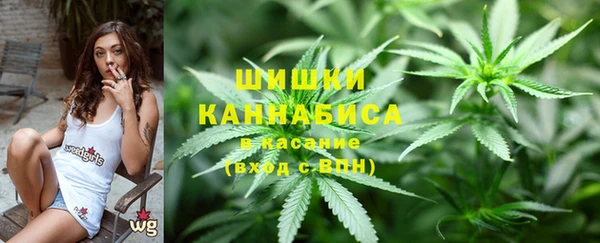 PSILOCYBIN Баксан